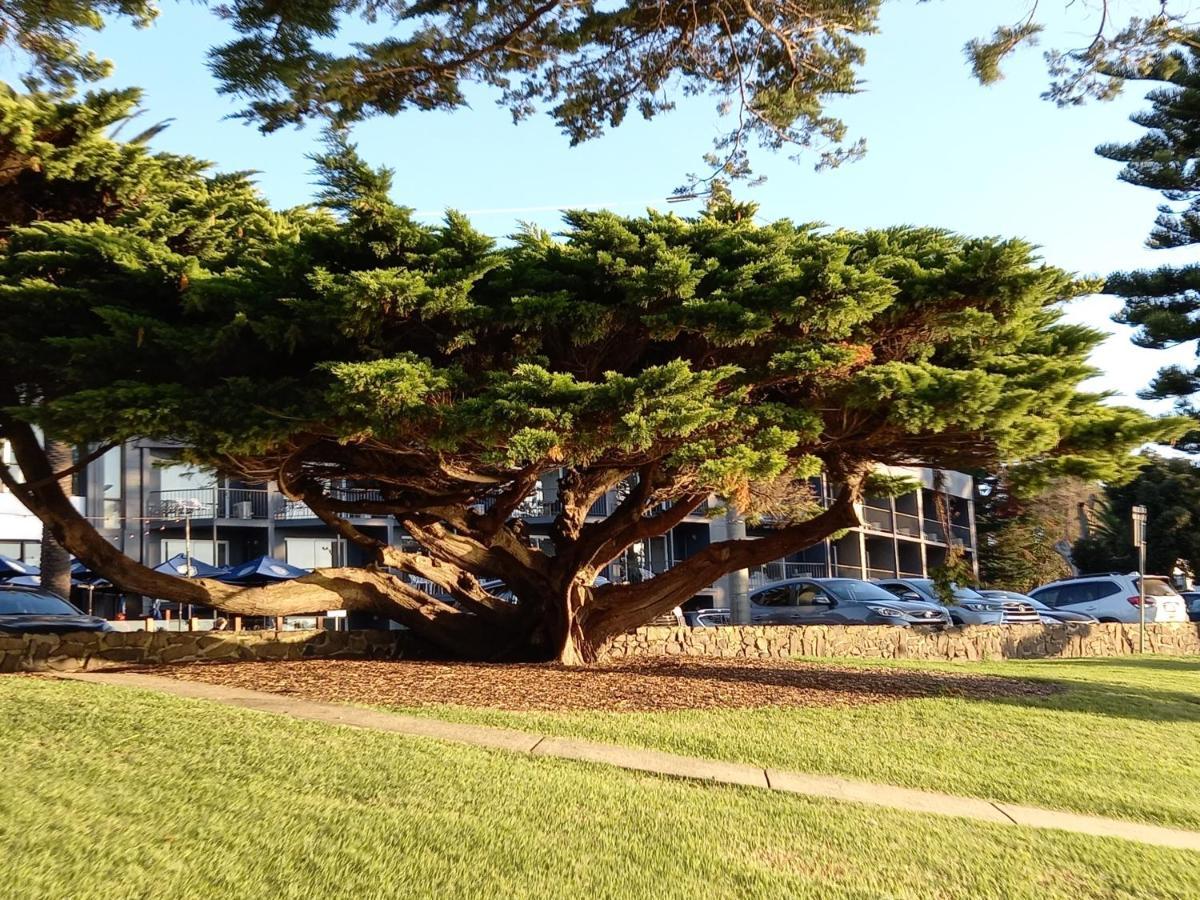 Apartments In Phillip Island Towers - Block C Каус Екстер'єр фото