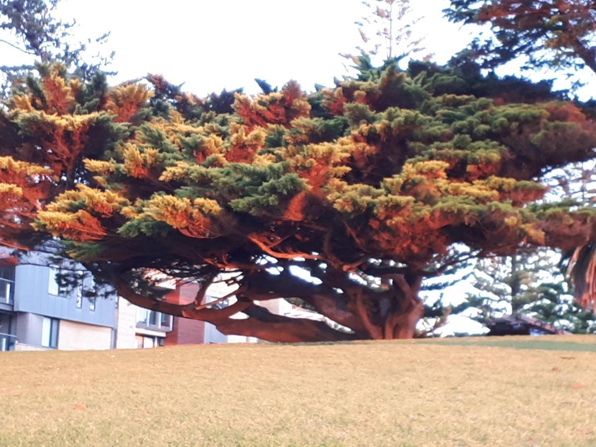 Apartments In Phillip Island Towers - Block C Каус Екстер'єр фото